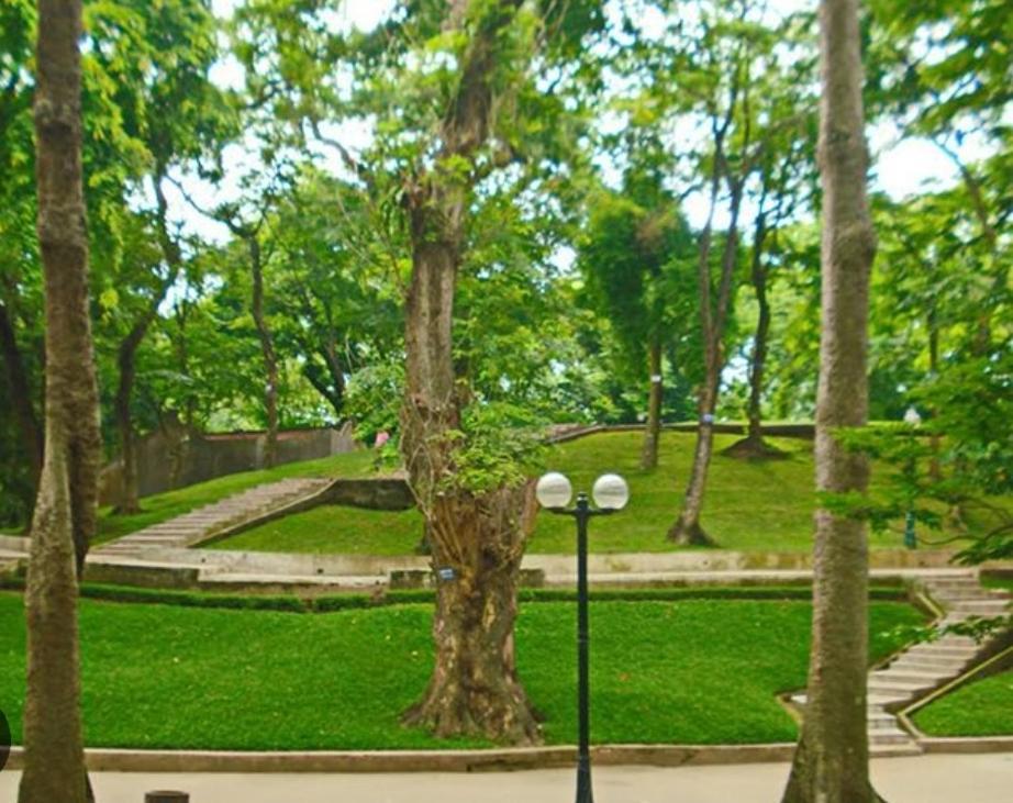 Da Tree Homestay Hanói Exterior foto